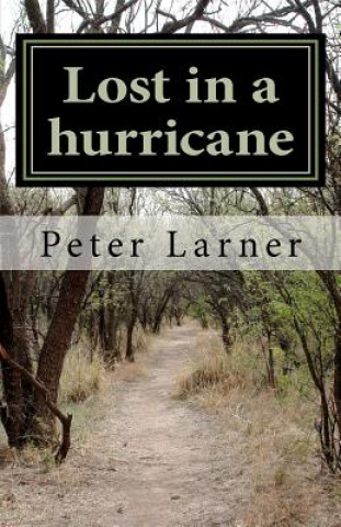 Lost in a hurricane