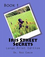 Iris Street Secrets: Large Print Edition