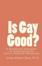 Is Gay Good?: A Study of the Nonmoral Value of Homosexuality
