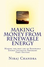 Making Money from Renewable Energy: Making the best use of Renewable Energy Incentive Programs