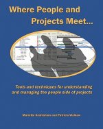 Where People and Projects Meet: Tools and techniques for understanding and managing the people side of projects