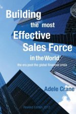 Building the Most Effective Sales Force in the World: The era post the global financial crisis