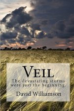 Veil: The devastating storms were just the beginning.
