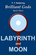Labyrinth and Moon: Initiations