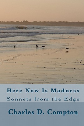 Here Now Is Madness: Sonnets from the Edge