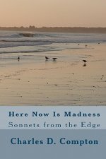 Here Now Is Madness: Sonnets from the Edge