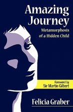 Amazing Journey: Metamorphosis of a Hidden Child