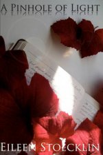A Pinhole of Light