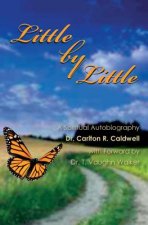 Little By Little: A Spiritual Autobiography