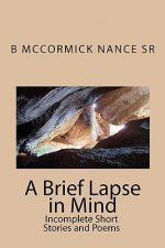 A Brief Lapse in Mind: Short Stories and Poems