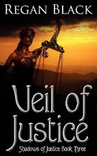 Veil of Justice: Shadows of Justice Book Three