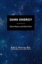 Dark Energy: Dark Matter and Dark Flow