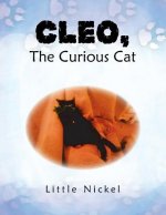 Cleo, the Curious Cat