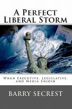 A Perfect Liberal Storm: When Executive, Legislative, and Media Enjoin