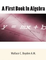 A First Book In Algebra