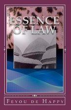 Essence of Law: The legal system in XIXth c. Africa