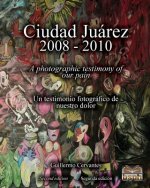 Ciudad Juárez 2008 - 2010: A photographic testimony of our pain
