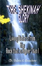 The Shekinah Glory: Living Waters from the Rock That is Higher than I