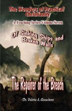 Of Sinking ships and Broken Walls: The Repairer of the Breach