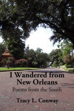 I Wandered From New Orleans: Poems from the South