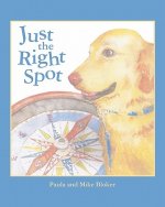 Just The Right Spot
