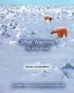 What Warming?: Satellite View of Global Temperature Change