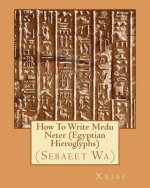 How To Write Medu Neter (Egyptian Hieroglyphs)