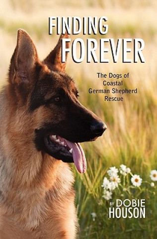 Finding Forever: The Dogs of Coastal German Shepherd Rescue