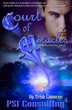 Court of Miracles: PSI Consulting