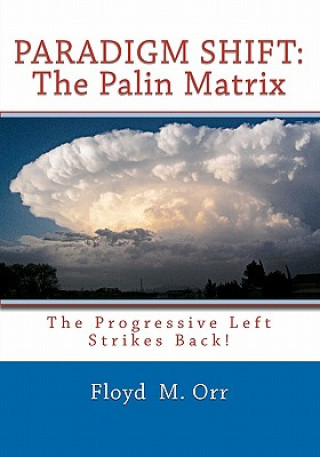 Paradigm Shift: The Palin Matrix: The Progressive Left Strikes Back!