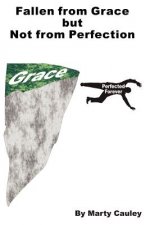 Fallen from Grace but Not from Perfection: An advanced argument for Unconditional Security