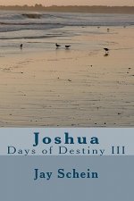 Joshua: Days of Destiny III