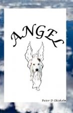 Angel: A Peter D .Chisholm Story