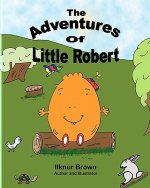 The Adventures of Little Robert
