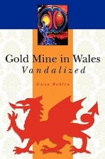 Gold Mine in Wales Vandalized