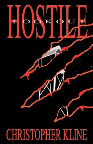 Hostile Lookout