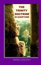 The Trinity Doctrine in Scripture: The Biblical case for one of the most important Christian beliefs.