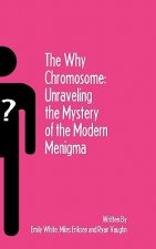 The Why Chromosome: Unraveling the Mystery of the Modern Menigma
