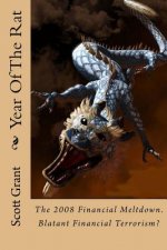 Year Of The Rat: Historical fictional account of the origin Of The 2008 Financial Meltdown. Financial terrorism as a weapon against nat