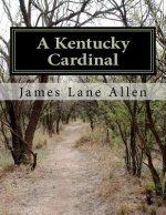 A Kentucky Cardinal