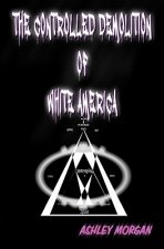 The Controlled Demolition of White America