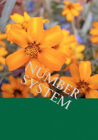 Number system