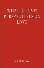 What Is Love? Perspectives On Love