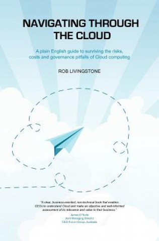 Navigating through the Cloud: A plain English guide to surviving the risks, costs and governance pitfalls of Cloud computing