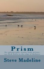 Prism: An unforgettable woman leads private-eye Nick Gallo to the edge of darkness