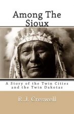 Among The Sioux: A Story of the Twin Cities and the Twin Dakotas