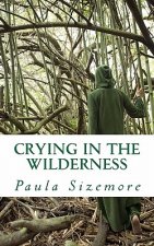 Crying in the Wilderness: A poetical exploration
