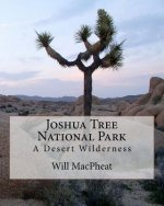 Joshua Tree National Park: A Desert Wilderness