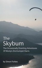 The Skybum: The Occasionally Diverting Adventures of Mostyn Zinctrumpet Harris