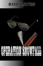 Operation Snowfall